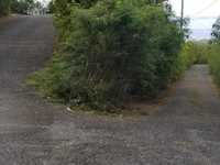 House 3029612993