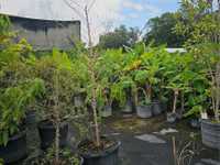 House 3086858178