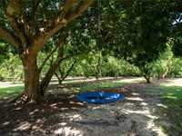 House 3139568885