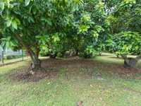 House 3175307970
