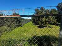 House 3162667156