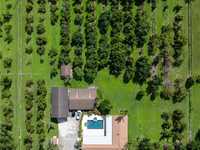 House 3173663018
