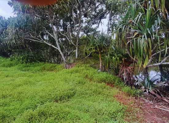PHL03 Tasman Place Pacific Harbor, Pacific Harbor, Land,  for sale, PROPERTY EXPERTS 
