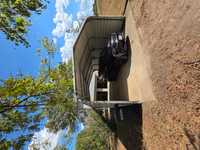 House 3194319454