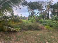 House 3199522438