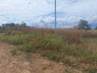 House 3199620268