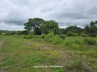 House 3202592702