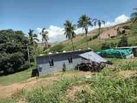 House 3202651177