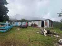 House 3202655542