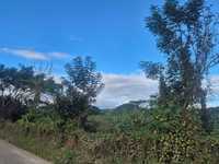 House 3202700399