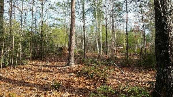 291 Waters Edge Dr Nebo / Lake James North Carolina United States, for Sale, commercial, Kristen Haynes, New Home Buyers Brokers / Realty Pros