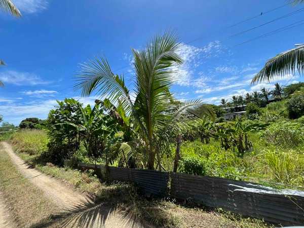 LRL16 Viseisei, Lautoka Lautoka Virgin Islands Fiji, for Sale, residential,  , PROPERTY EXPERTS 