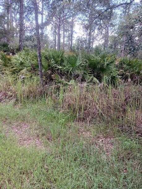 809 FLEETWOOD STREET Lake Placid Florida United States, Sold, commercial,  , Mixon Real Estate Group, LLC