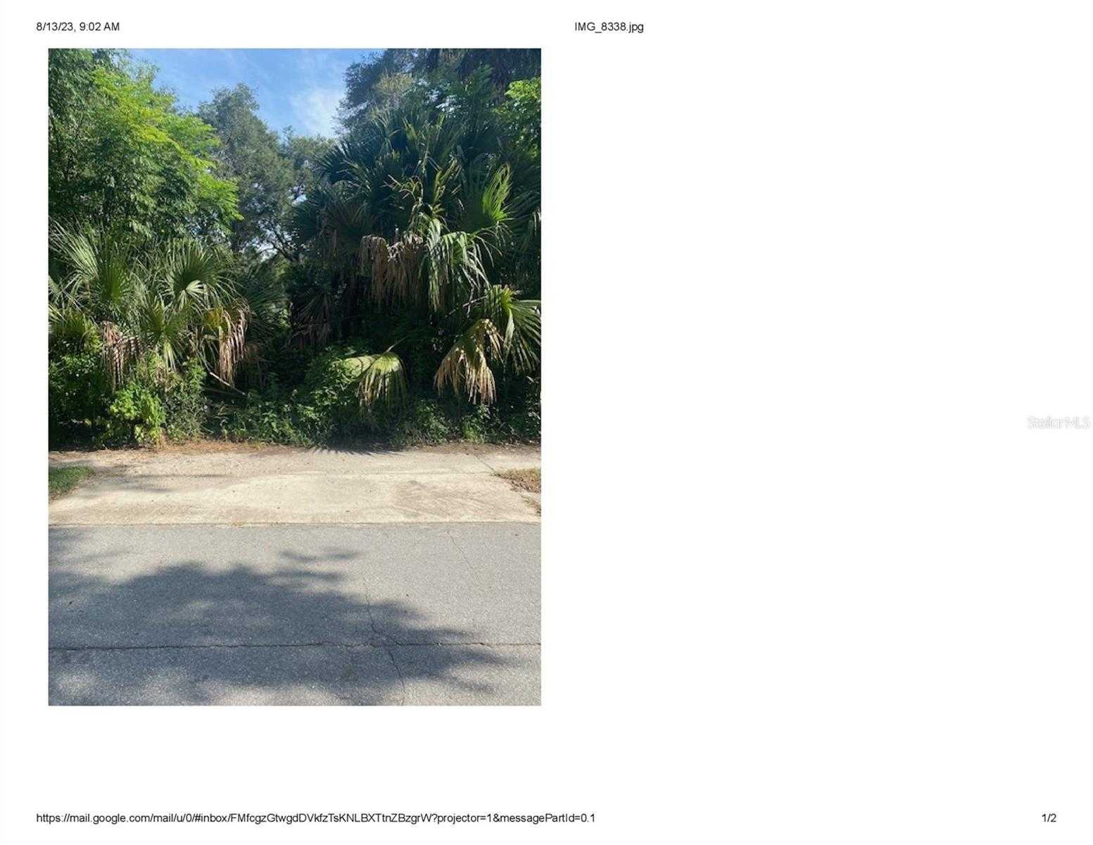 SE 162 PLACE Weirsdale Florida United States, Sold, commercial,  , Hook & Ladder Realty of Central Florida LLC