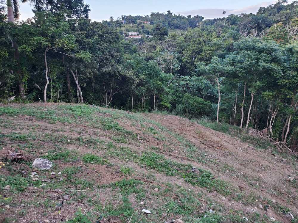 Camino El Mudo San Juan San Juan Puerto Rico, for Sale, residential, Jack Torres, JTR Realty Group