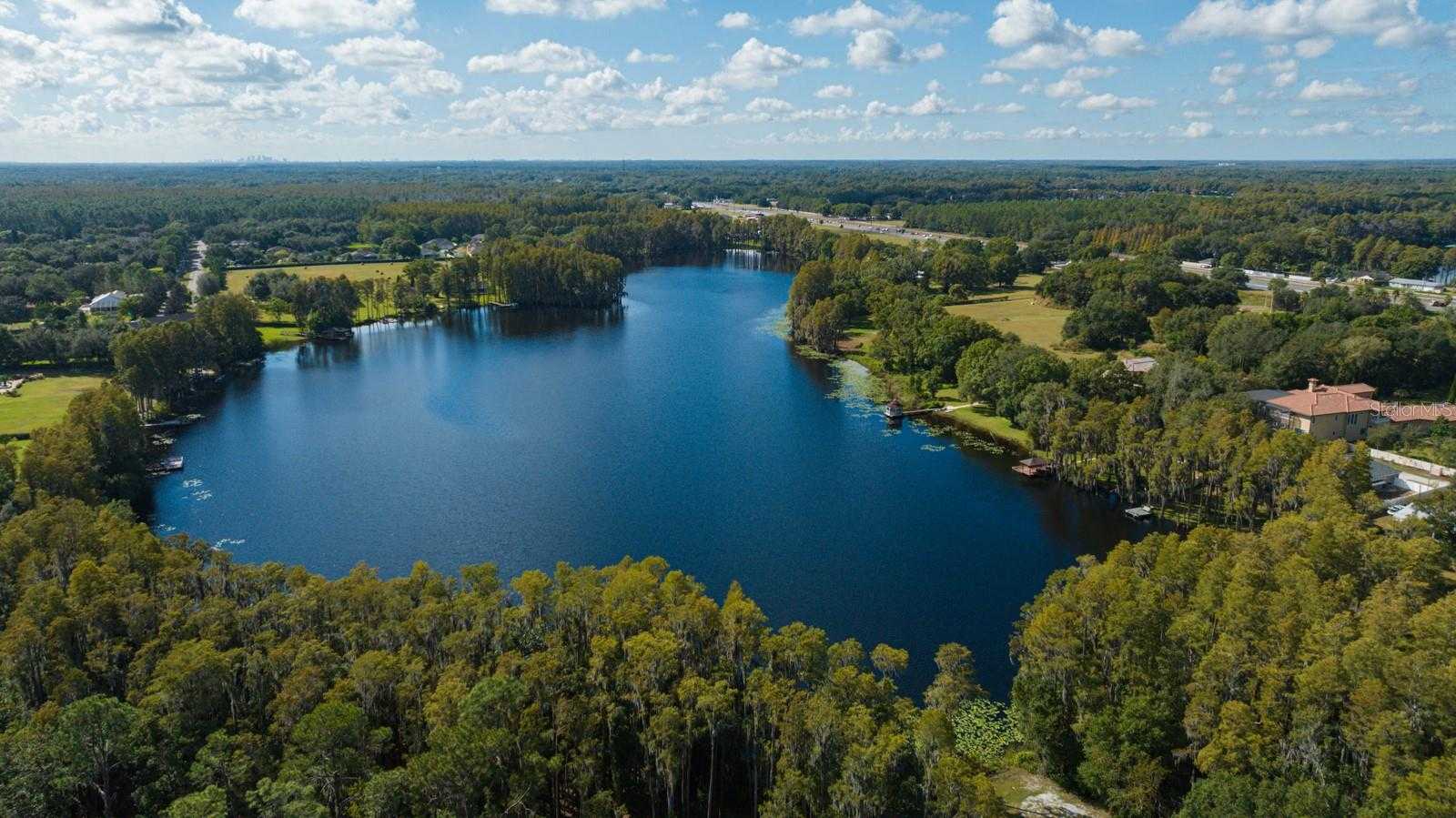 105 BELLAMERE PALMS COURT Lutz Florida United States, for Sale, commercial, Sunny Sidhu, RE/MAX Premier Group