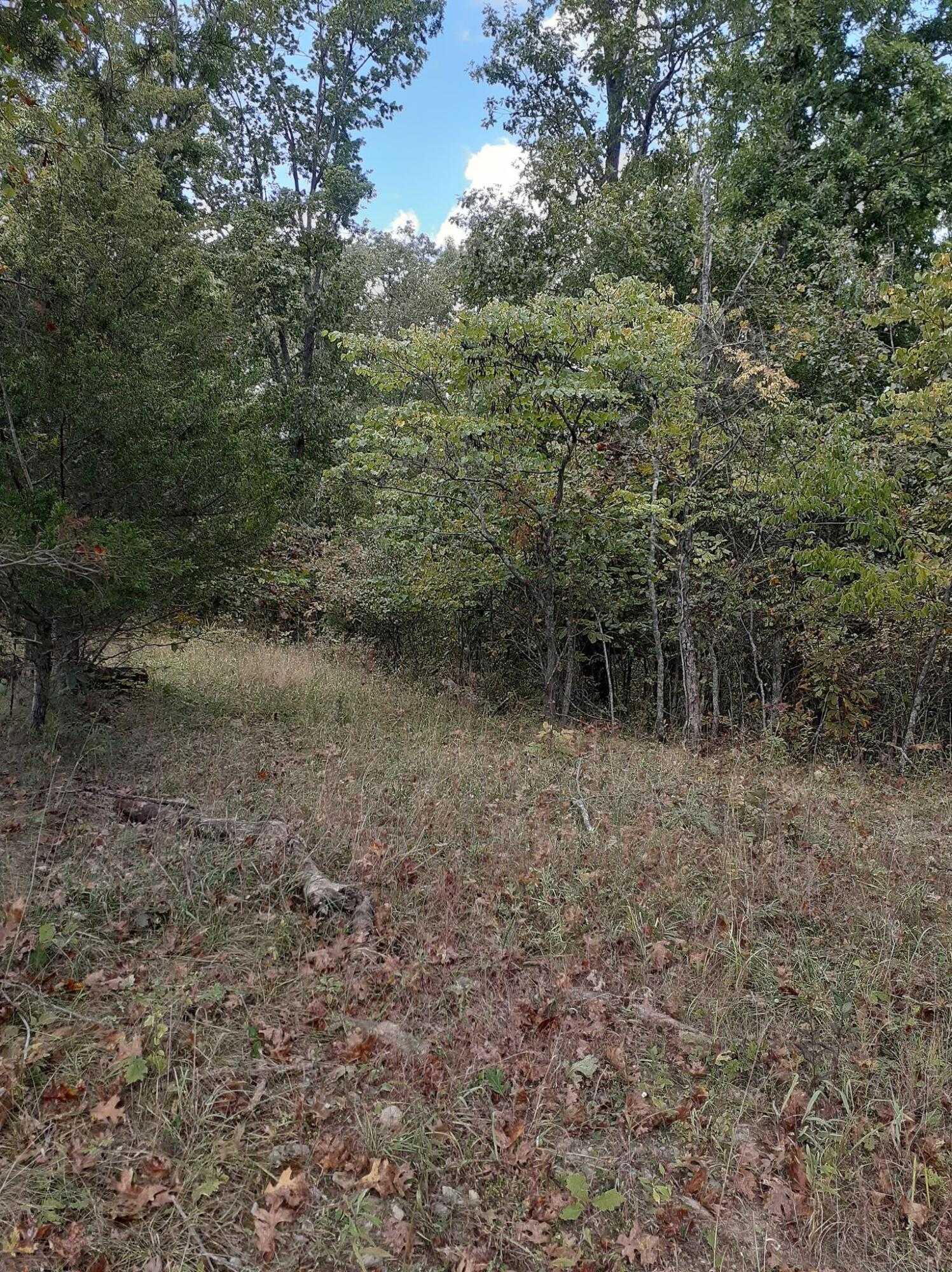 Lot 15 Apple Lane Cynthiana Kentucky United States, for Sale, residential,  , Hand In Hand Realty