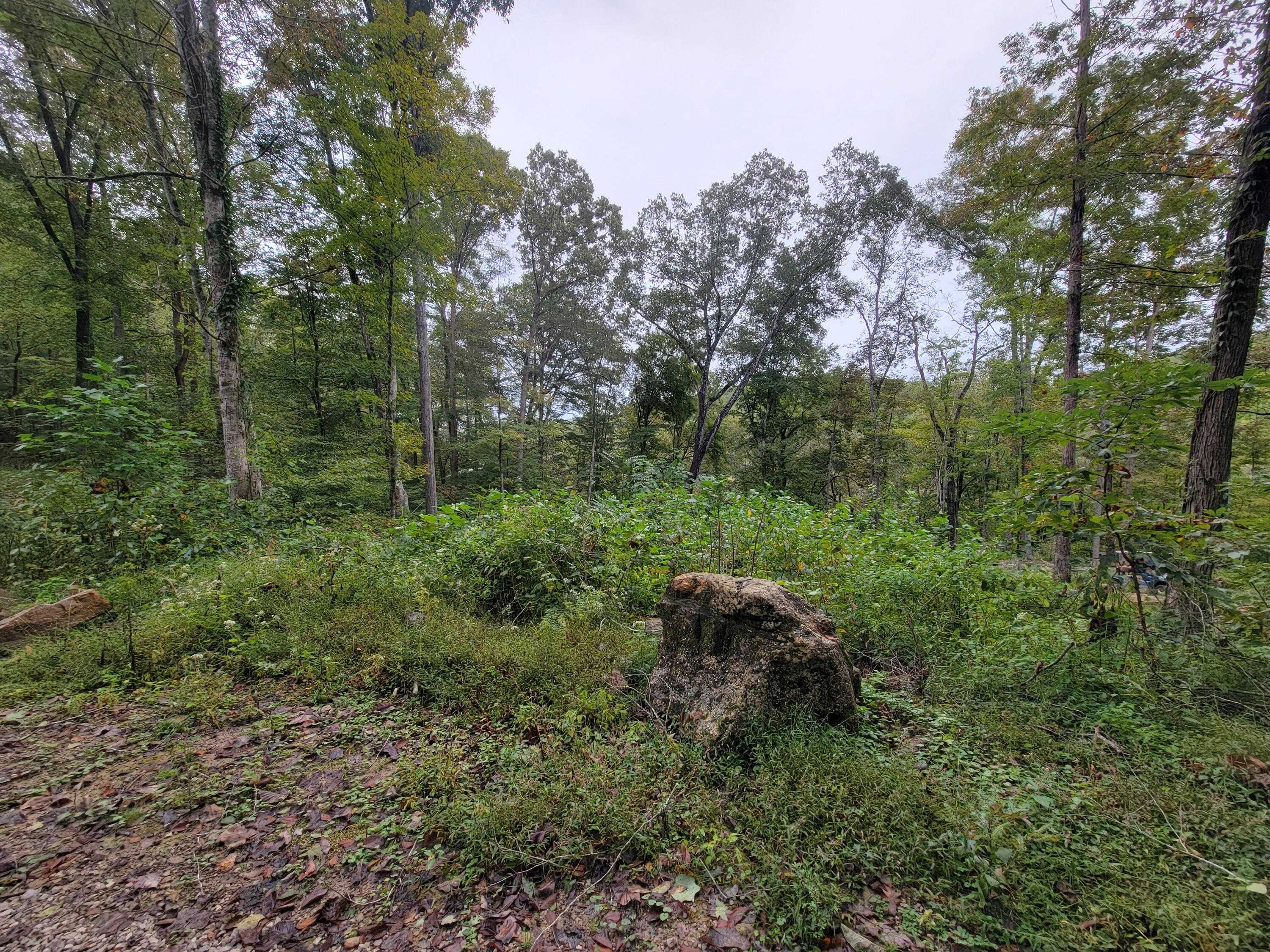 150 Punchs End Burnside Kentucky United States, for Sale, residential,  , A Unique Realty Company