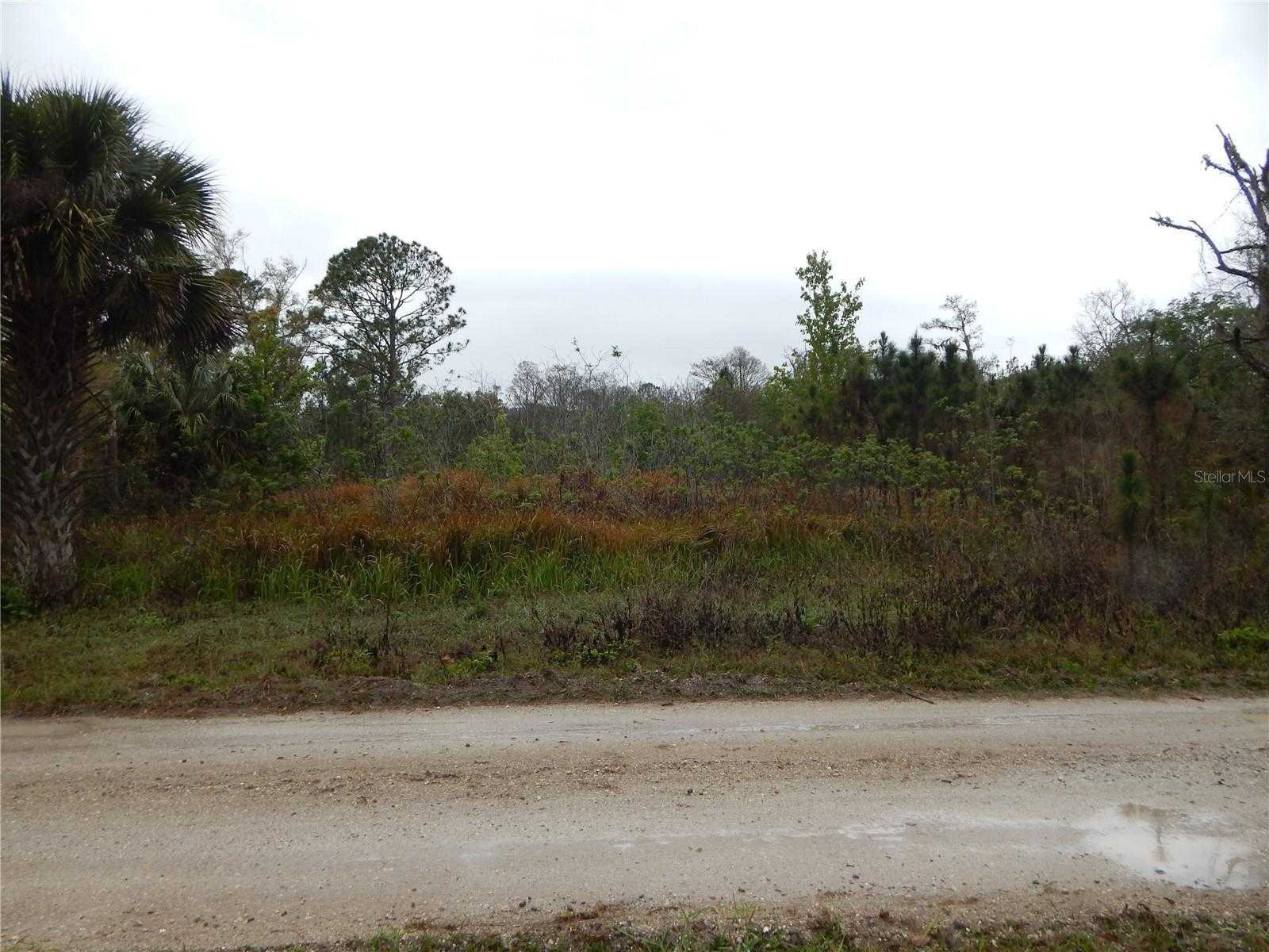 ROBIN TRAIL Kissimmee Florida United States, for Sale, commercial, Luz Angela Lopez, HomeLife Realty Coastal Properties