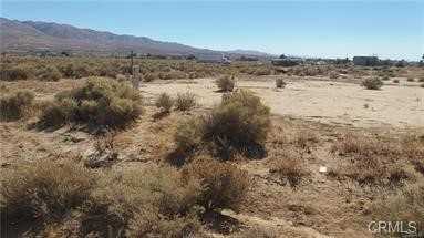 Unknown Phelan California United States, Sold, commercial, Alan Wallace, Assist2Sell Buyers and Sellers Realty
