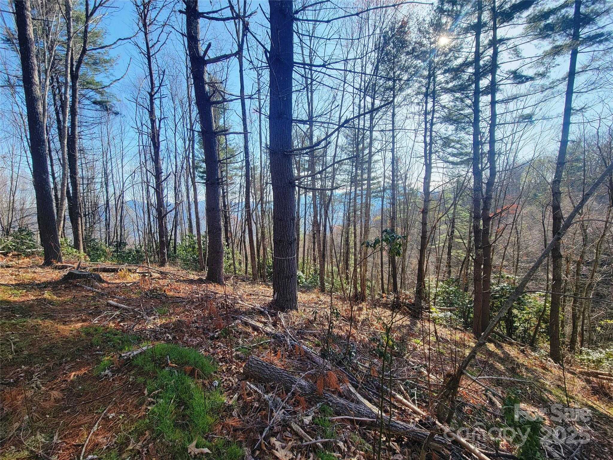 111 Digging Seng Trail APT 138 Waynesville North Carolina United States, for Sale, commercial, Jaci Reynolds, RE/MAX Executive