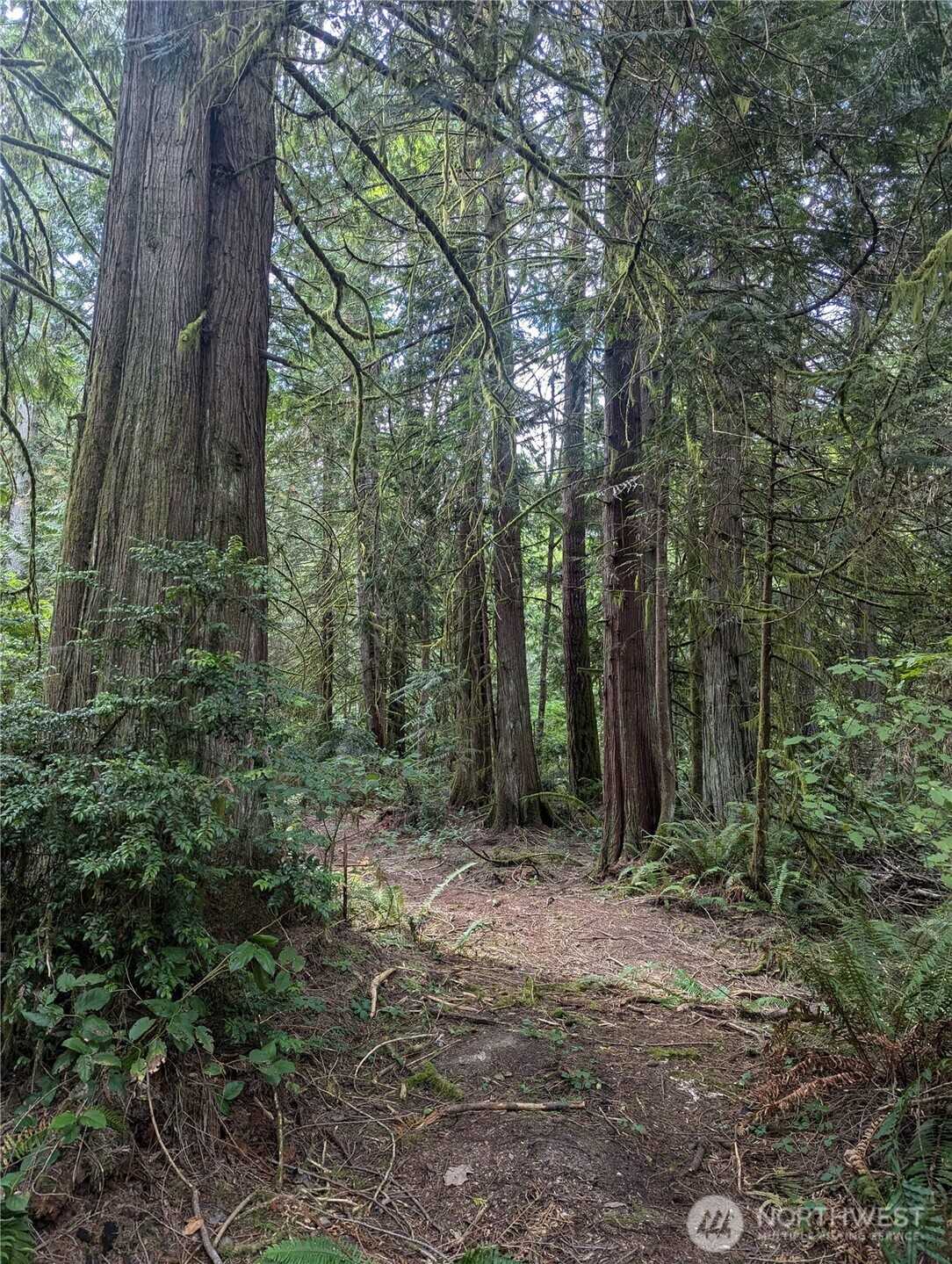 8900 Adams Lane NW Olympia Washington United States, for Sale, commercial,  , MVP Realty Group