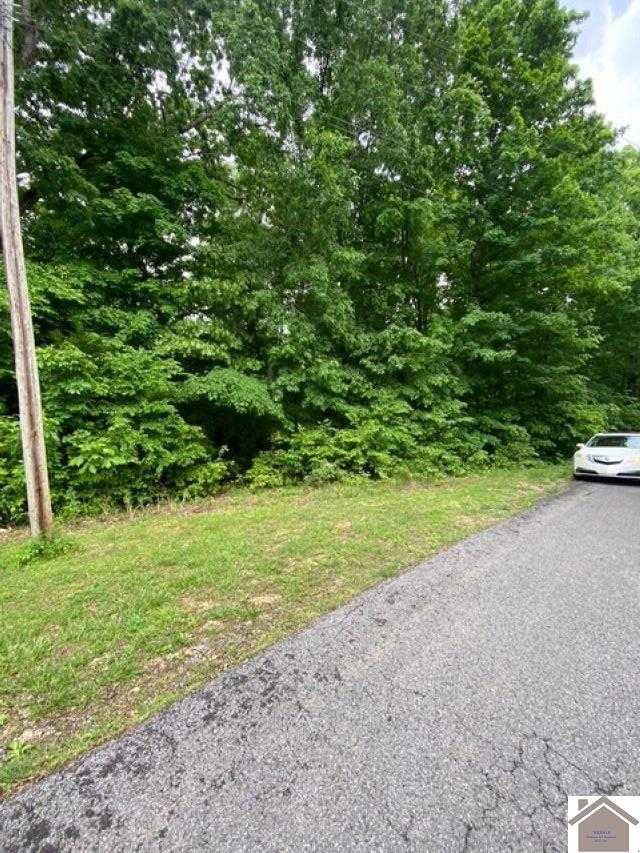 Driftwood Estates Lot #54 Eddyville Kentucky United States, for Sale, residential,  , The Vince Carter Team at Carter Realty Group, LLC