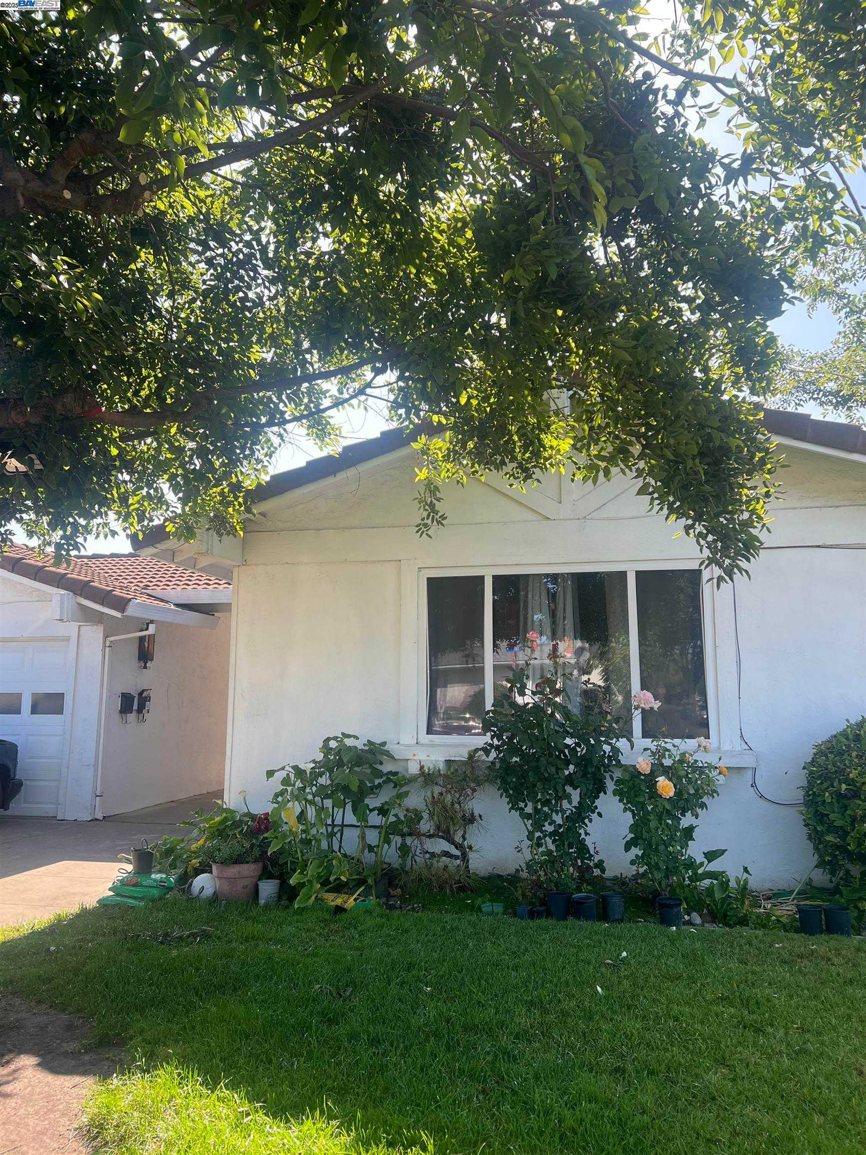2606 Silsby Ave. Union City California United States, Sold, residential,  , REALTY EXPERTS