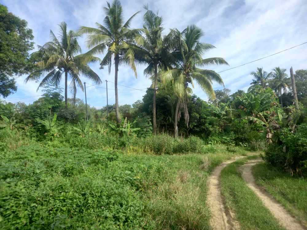 NRL164 Mulomulo, Nadi Nadi Virgin Islands Fiji, Sold, residential,  , PROPERTY EXPERTS 