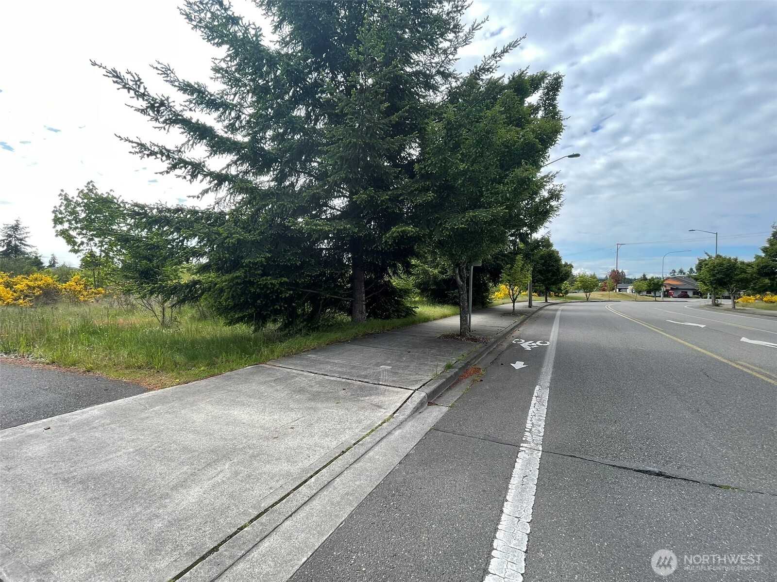 111 Killion Road SE Yelm Washington United States, Sold, commercial, , MVP Realty Group