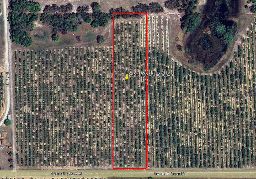 MAMMOTH GROVE ROAD Lake Wales Florida United States, for Sale, commercial,  , Crosby and Associates Inc
