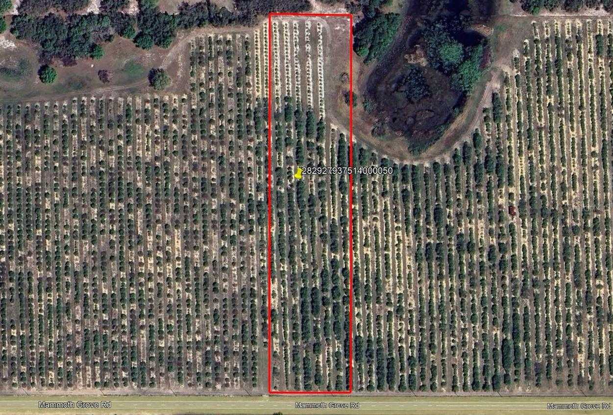 MAMMOTH GROVE ROAD Lake Wales Florida United States, for Sale, commercial,  , Crosby and Associates Inc