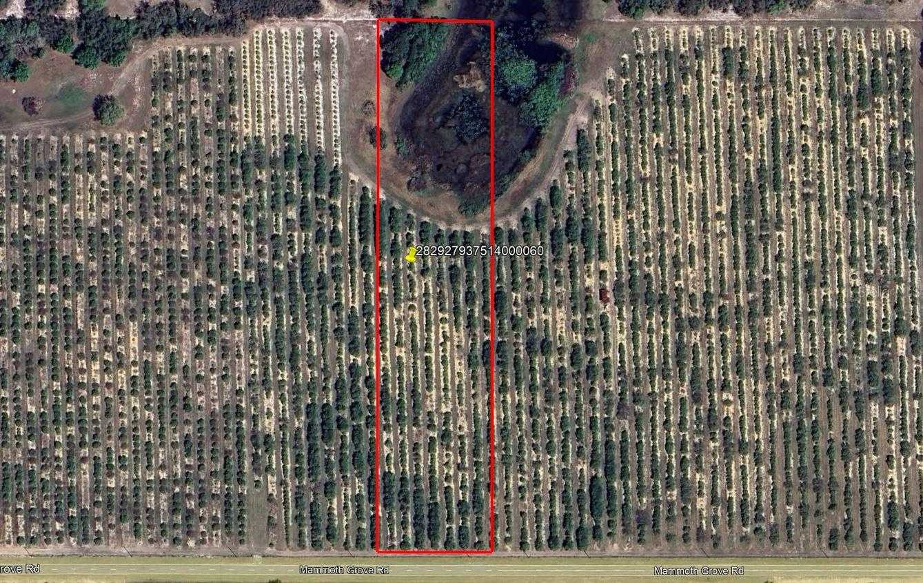 MAMMOTH GROVE ROAD Lake Wales Florida United States, for Sale, commercial,  , Crosby and Associates Inc