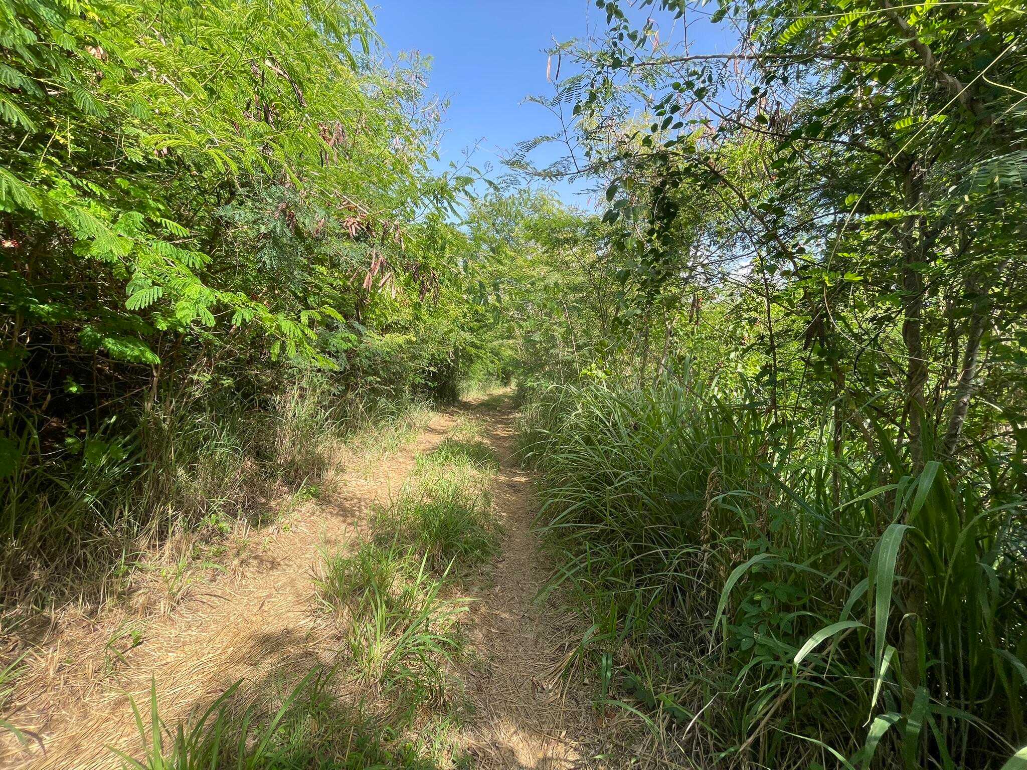 C-5-B-5 Lovenlund GNS Other Virgin Islands Virgin Islands, for Sale, commercial, Dionne Nelthropp, Hibiscus Homes