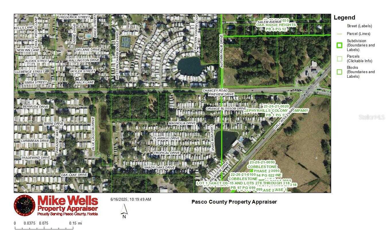 37750 CHANCEY ROAD Zephyrhills Florida United States, for Sale, commercial, Sunny Sidhu, RE/MAX Premier Group