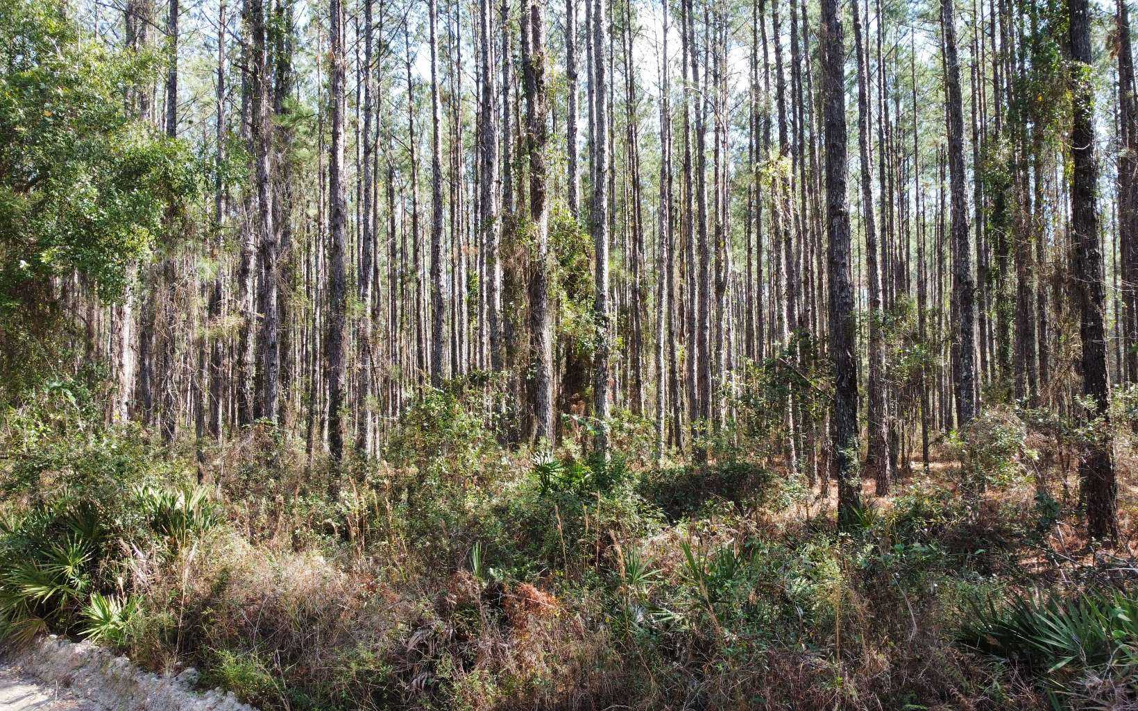 22ND LN Other Florida United States, for Sale, commercial,  , Tides & Timber Realty