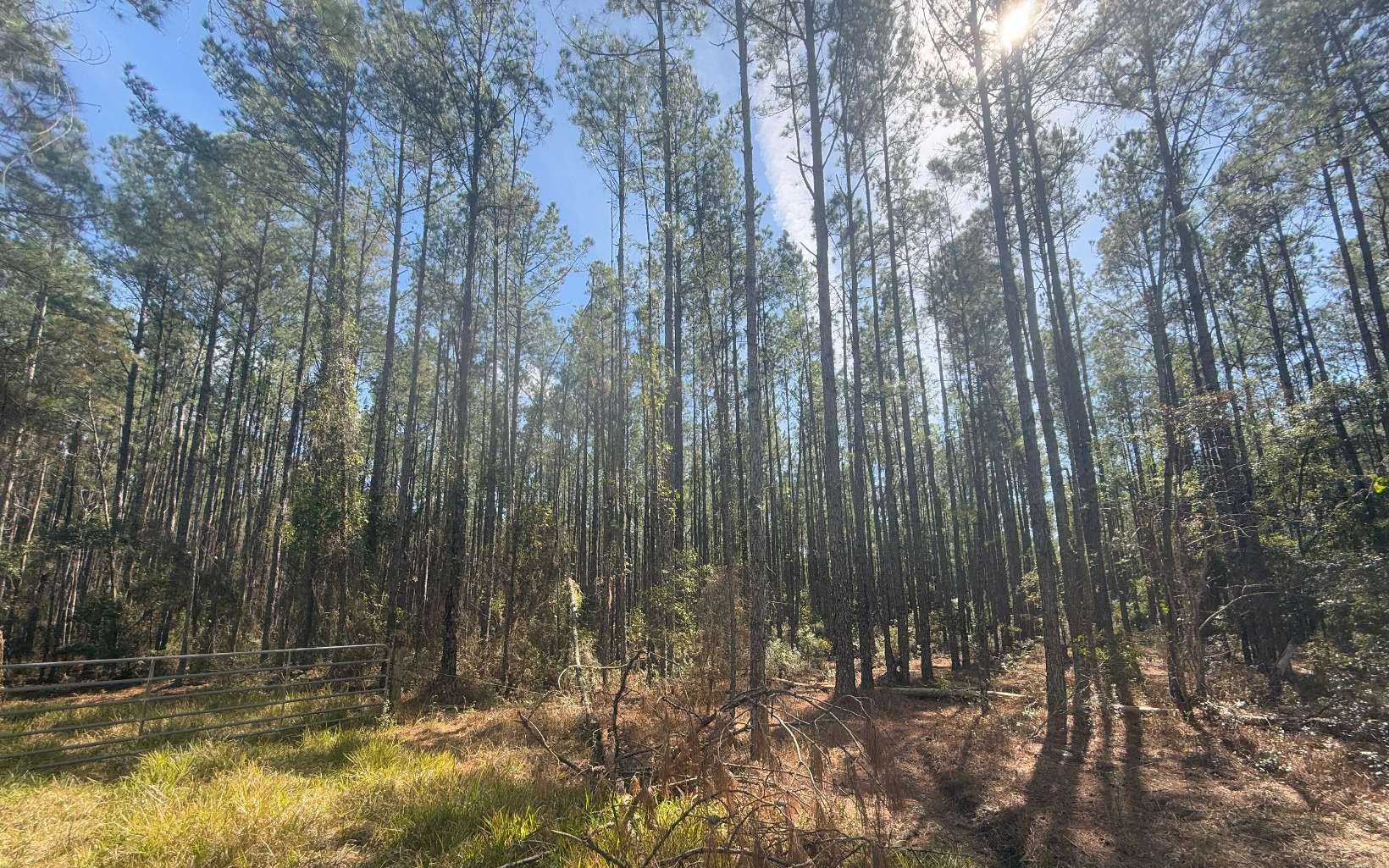 22ND LN Other Florida United States, for Sale, commercial,  , Tides & Timber Realty