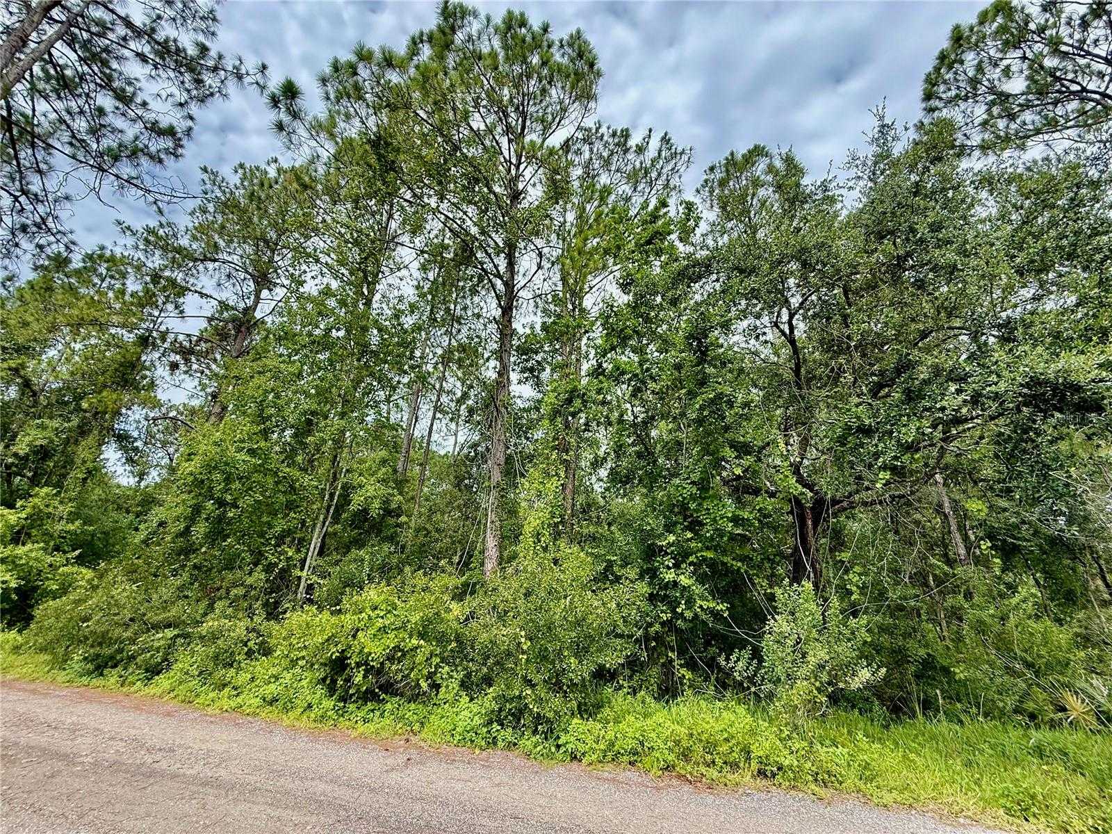 WESTPOINT DRIVE Wesley Chapel Florida United States, for Sale, commercial, Sunny Sidhu, RE/MAX Premier Group