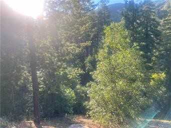 Elder Drive Cedar Glen California United States, for Sale, commercial, Alan Wallace, Assist2Sell Buyers and Sellers Realty