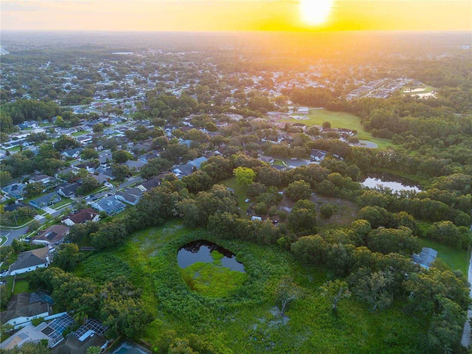 6327 GANT ROAD Tampa Florida United States, for Sale, commercial, Sunny Sidhu, RE/MAX Premier Group