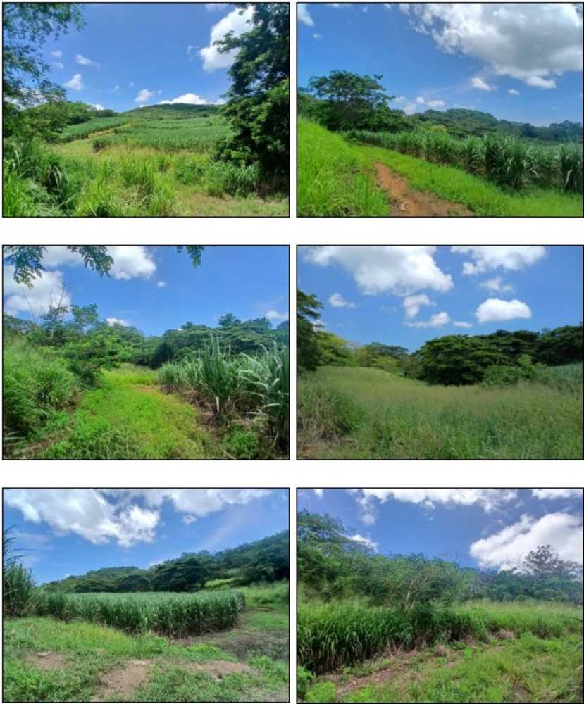 TAF01 Tagitagi, Tavua Tavua Virgin Islands Fiji, for Sale, residential,  , PROPERTY EXPERTS 