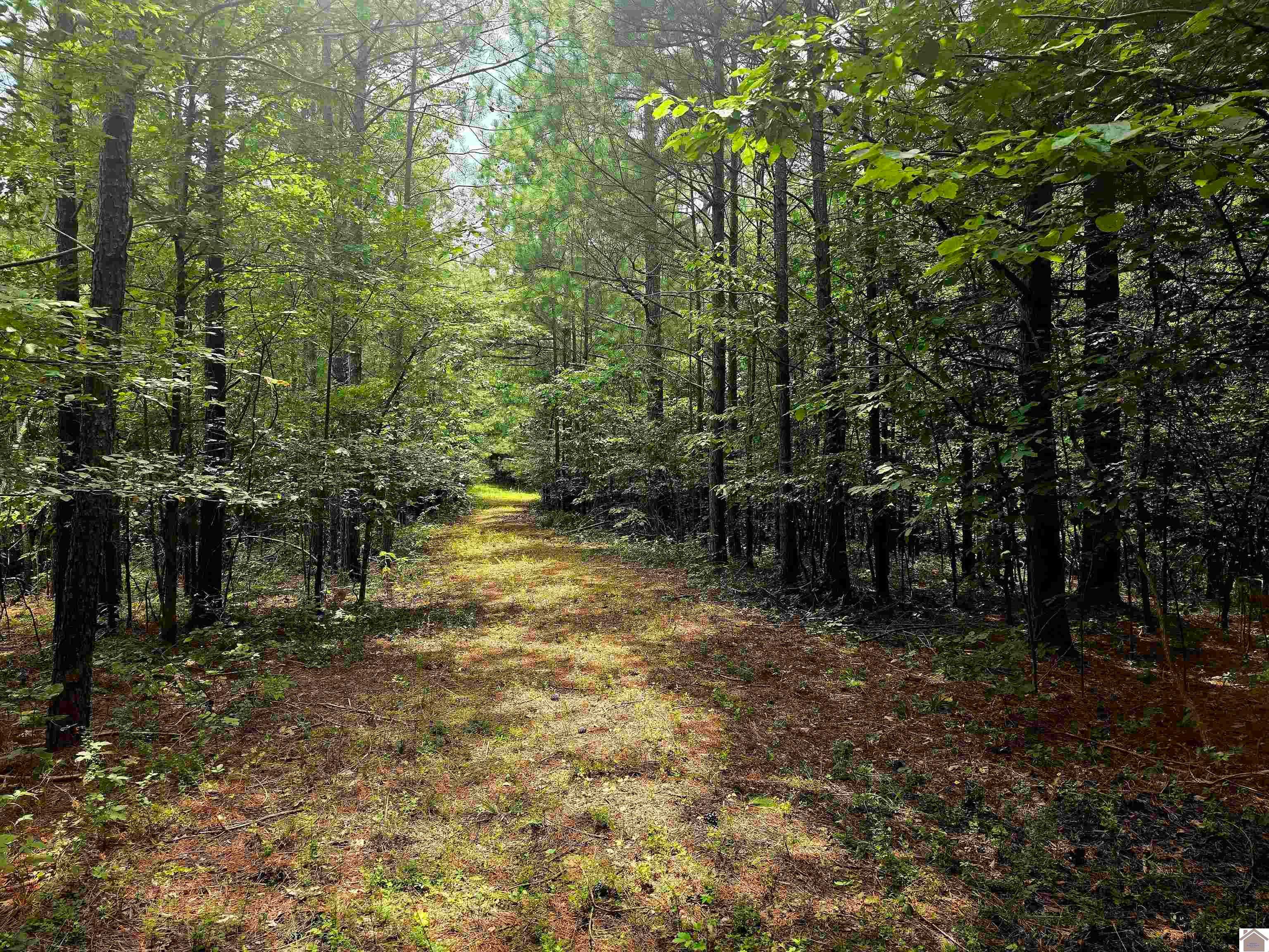 Vicksburg Rd Tiline Kentucky United States, for Sale, commercial,  , The Vince Carter Team at Carter Realty Group, LLC