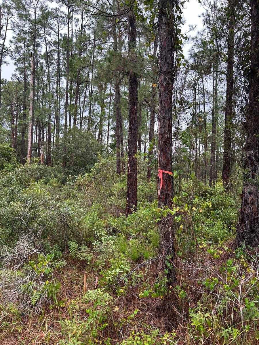 324 BELMONTE DRIVE Indian Lake Estates Florida United States, for Sale, commercial,  , The Mount Dora Group 