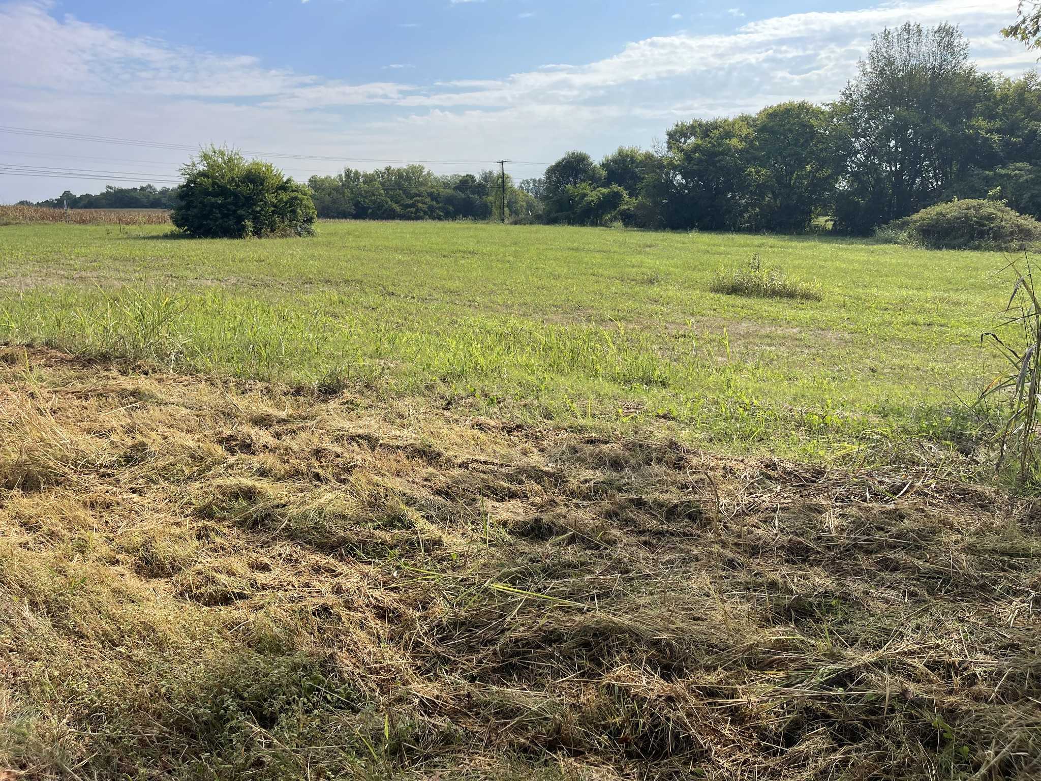 Williamsport Pike Columbia Tennessee United States, for Sale, commercial,  Gabe  Fitzhugh, GF Homes and Land