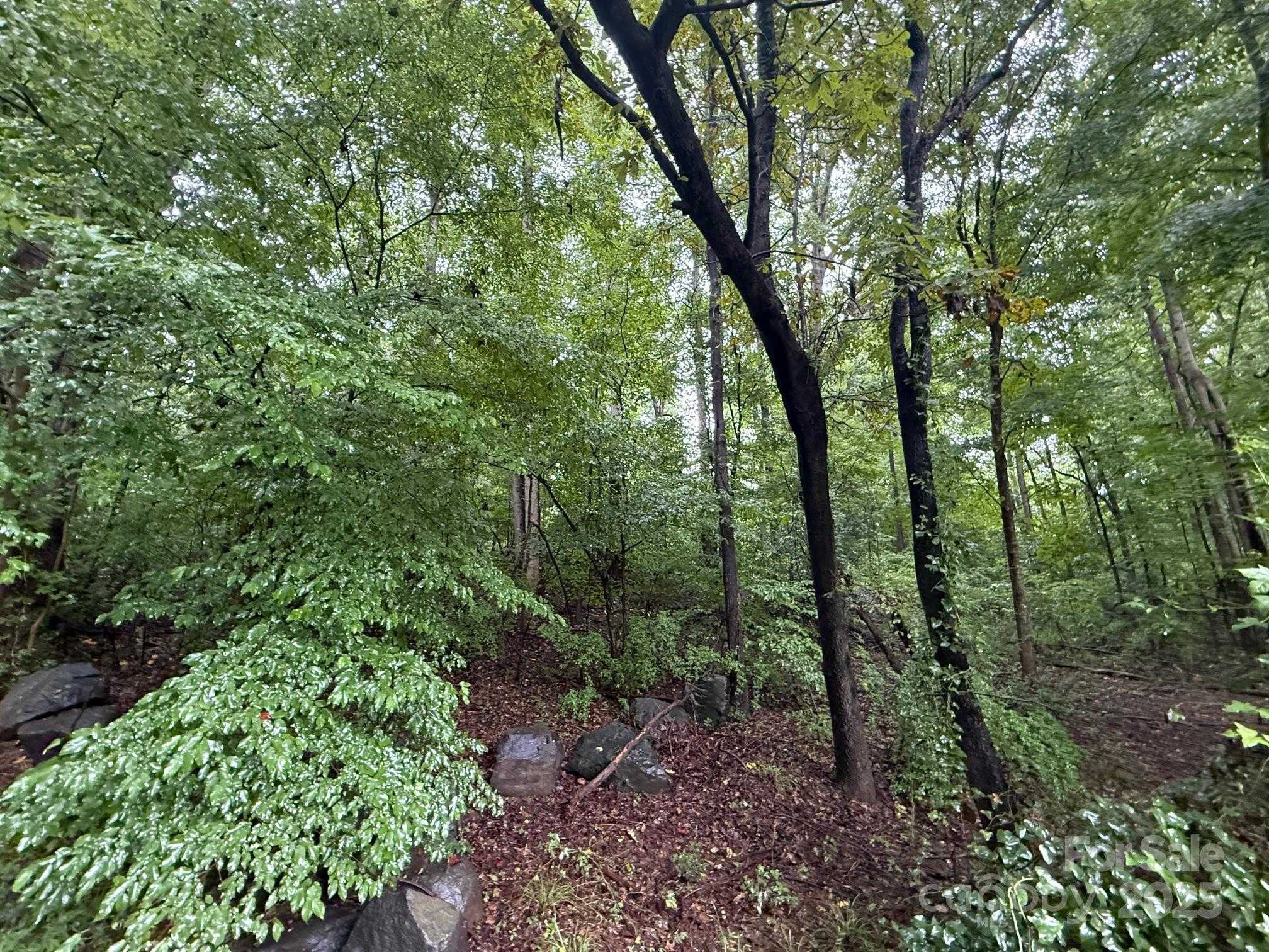 3117 Shirley Drive Charlotte North Carolina United States, for Sale, commercial, Kristen Haynes, New Home Buyers Brokers / Realty Pros