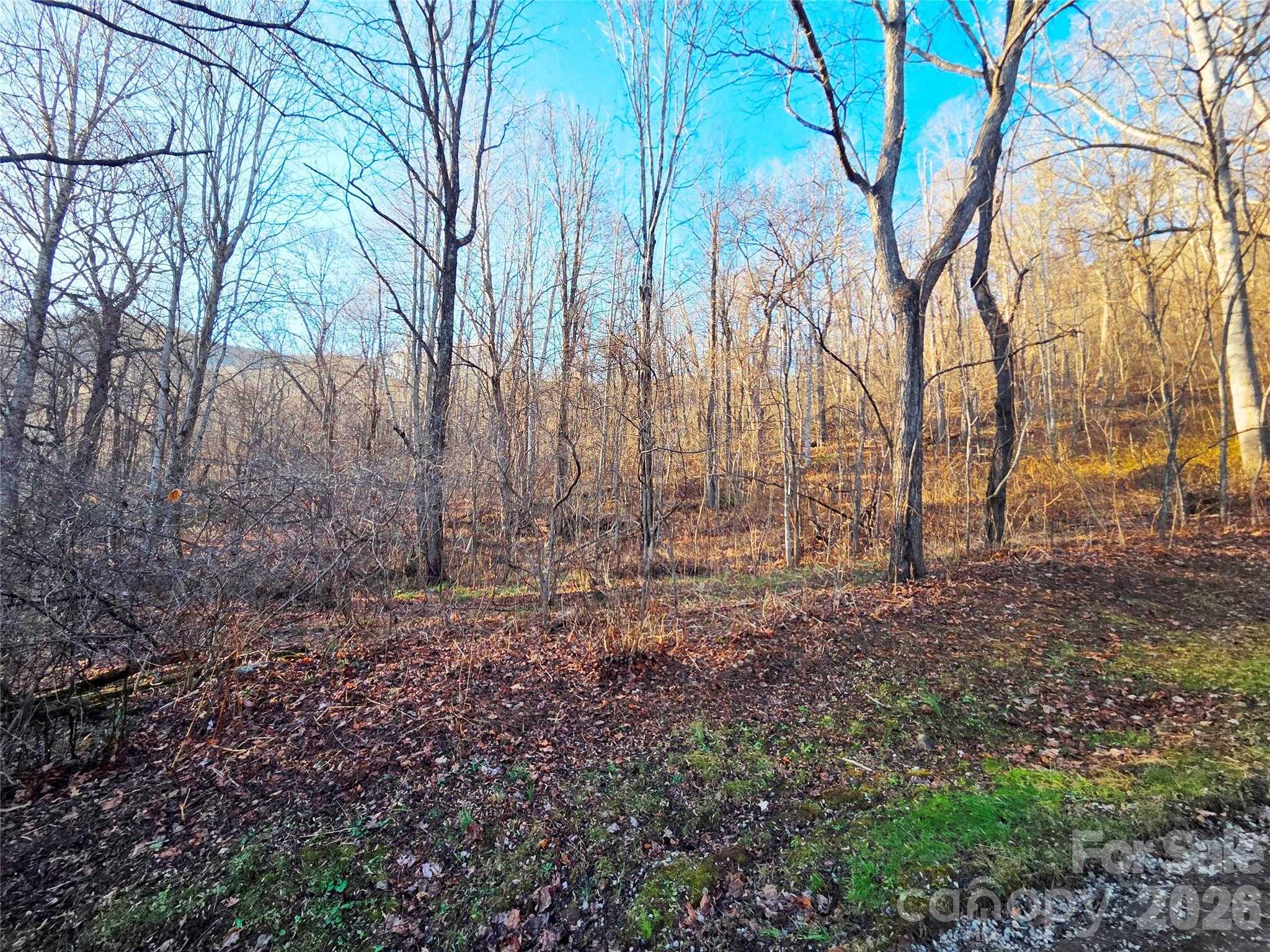 123 Live Oak Loop APT 29 Waynesville North Carolina United States, for Sale, commercial, Jaci Reynolds, RE/MAX Executive