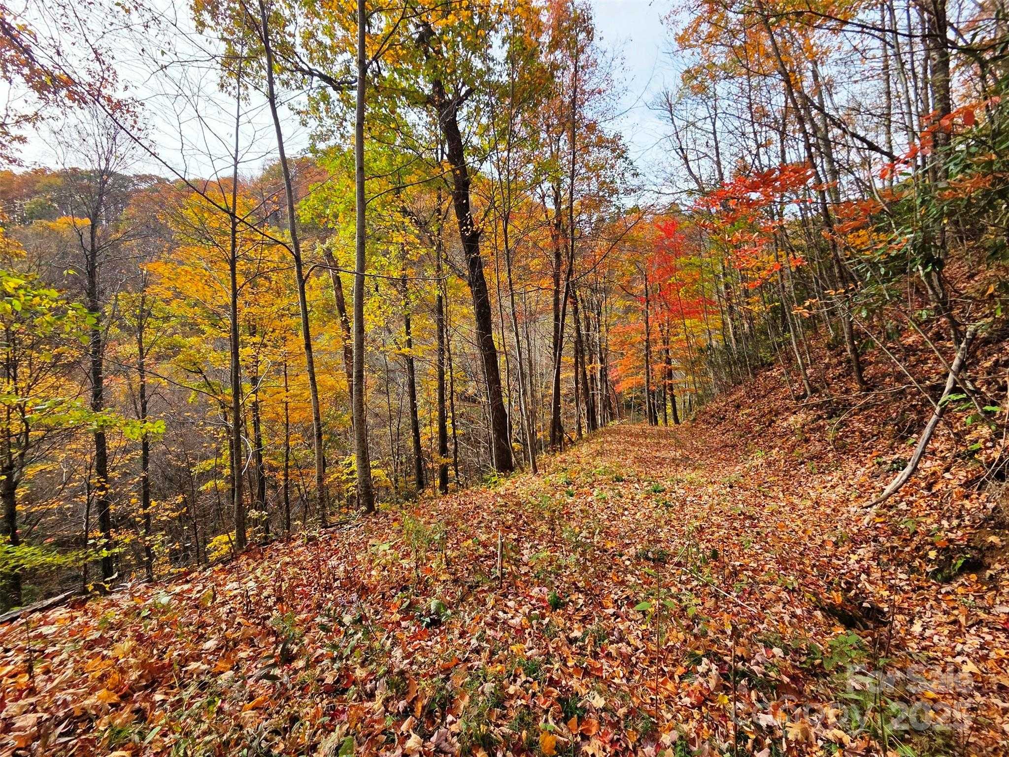 355 Moonshineholler Drive Maggie Valley North Carolina United States, for Sale, commercial, Jaci Reynolds, RE/MAX Executive