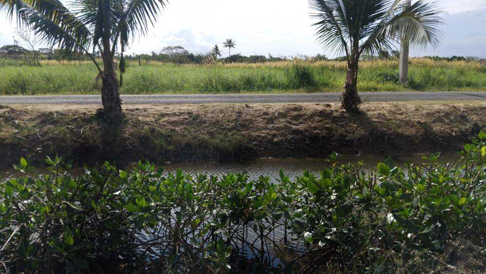 NMH48 Sonaisali, Nadi Nadi Virgin Islands Fiji, for Sale, residential,  , PROPERTY EXPERTS 
