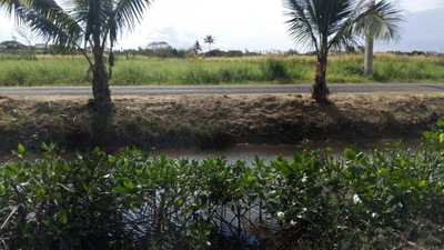 NMH48 Sonaisali, Nadi, Nadi, Condo,  for sale, PROPERTY EXPERTS 