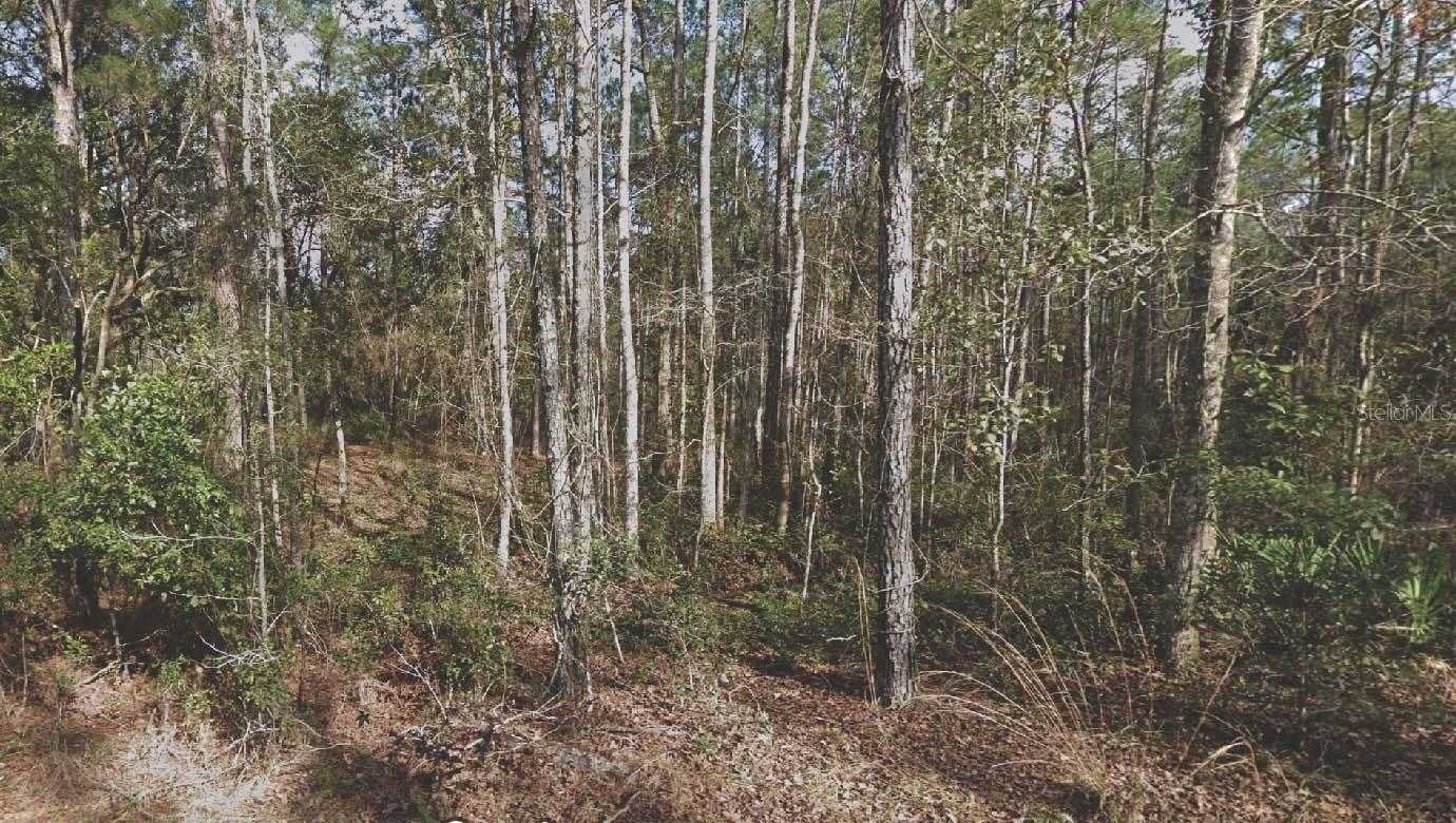 130 SE 5TH STREET Palatka Florida United States, for Sale, commercial, Melissa Lebron, Realty World Ocala